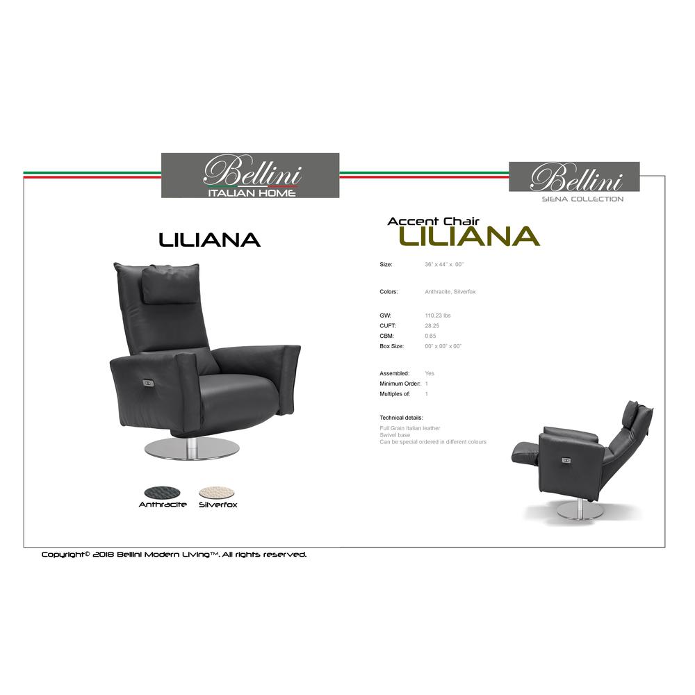 Liliana Recliner Accent Chair Anthracite. Picture 3