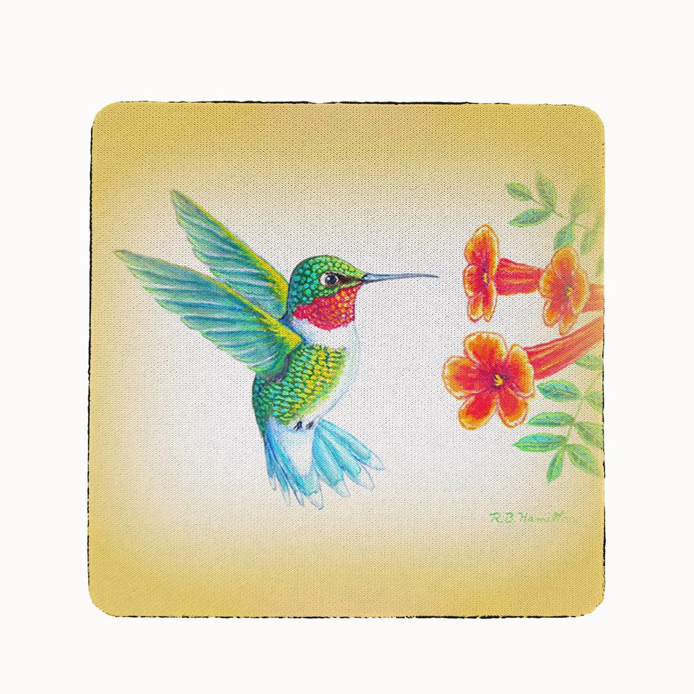 Dick's Hummingbird Coaster Set of 4. Picture 1