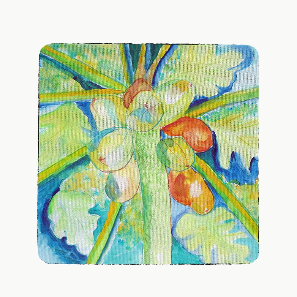 Big Cocoa Nuts Coaster Set of 4. Picture 1