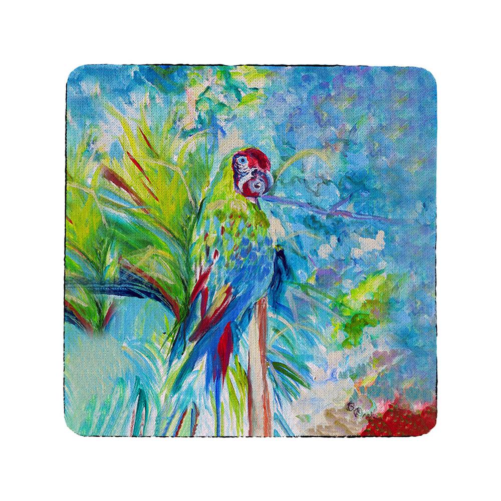 Green Parrot II Coaster Set of 4. Picture 1