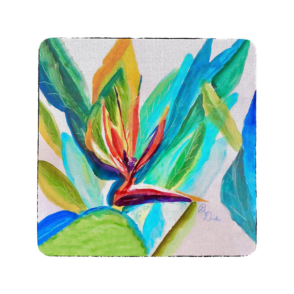 Bird of Paradise Coaster Set of 4. Picture 1
