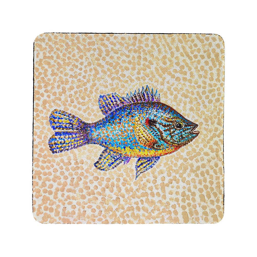 Pumpkinseed Fish Coaster Set of 4. Picture 1