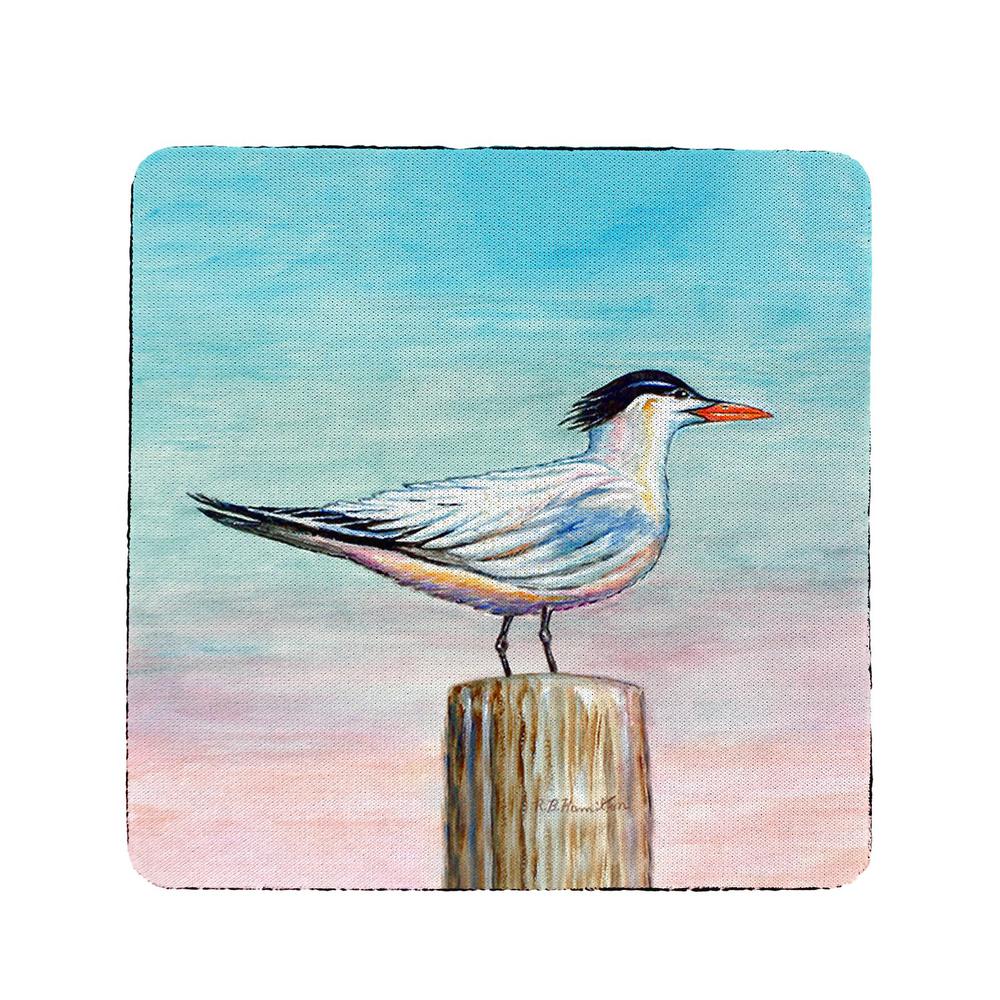 Royal Tern Coaster Set of 4. Picture 1