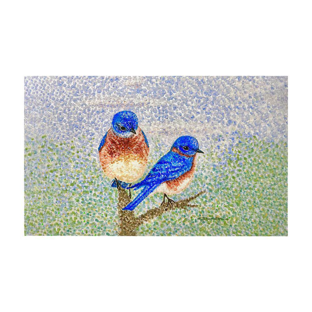 Two Blue Birds Door Mat 30x50. Picture 1