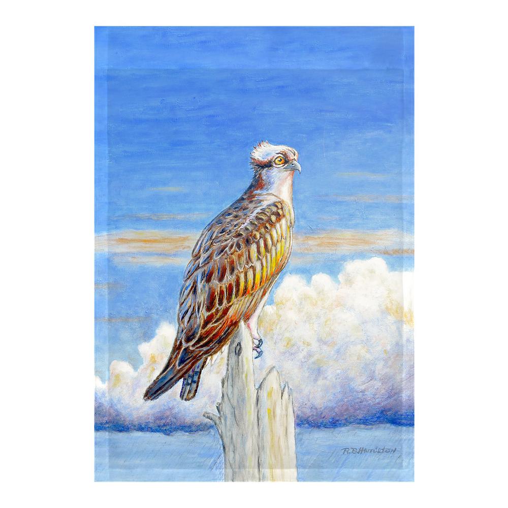 Osprey Storm Flag 12.5x18. Picture 1