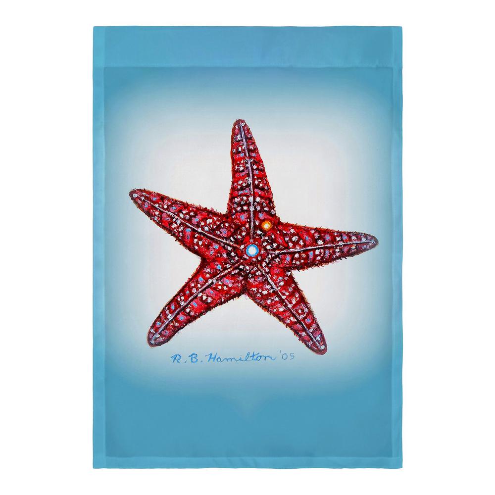 Dick's Starfish Flag 12.5x18. Picture 2