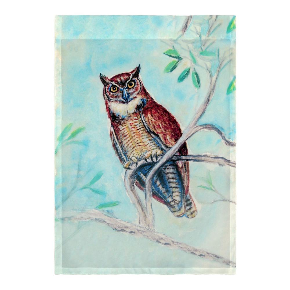 Owl in Teal Flag 12.5x18. Picture 2