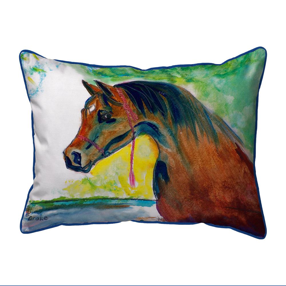 Prize Horse Large Indoor/Outdoor Pillow 16x20. Picture 1