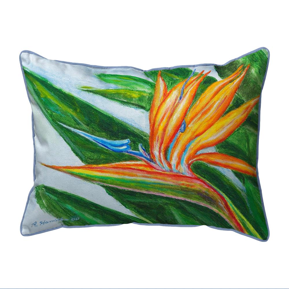 Bird of Paradise Large, Indoor/Outdoor Pillow 16x20. Picture 1