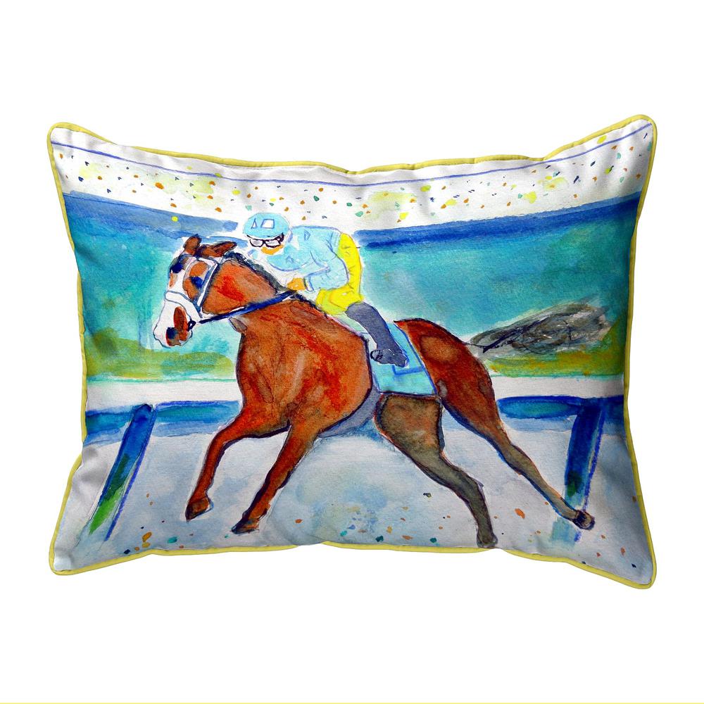 Front Runner Large Indoor/Outdoor Pillow 16x20. Picture 1