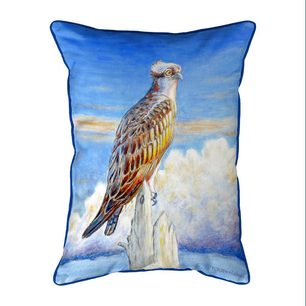 Osprey Storm Large Indoor/Outdoor Pillow 16x20. Picture 1