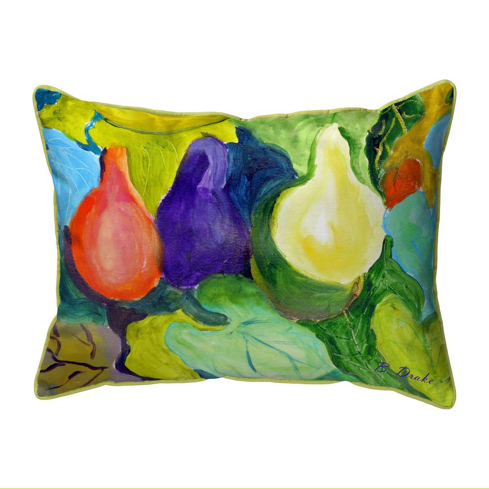 Gourds Large Indoor/Outdoor Pillow 16x20. Picture 1