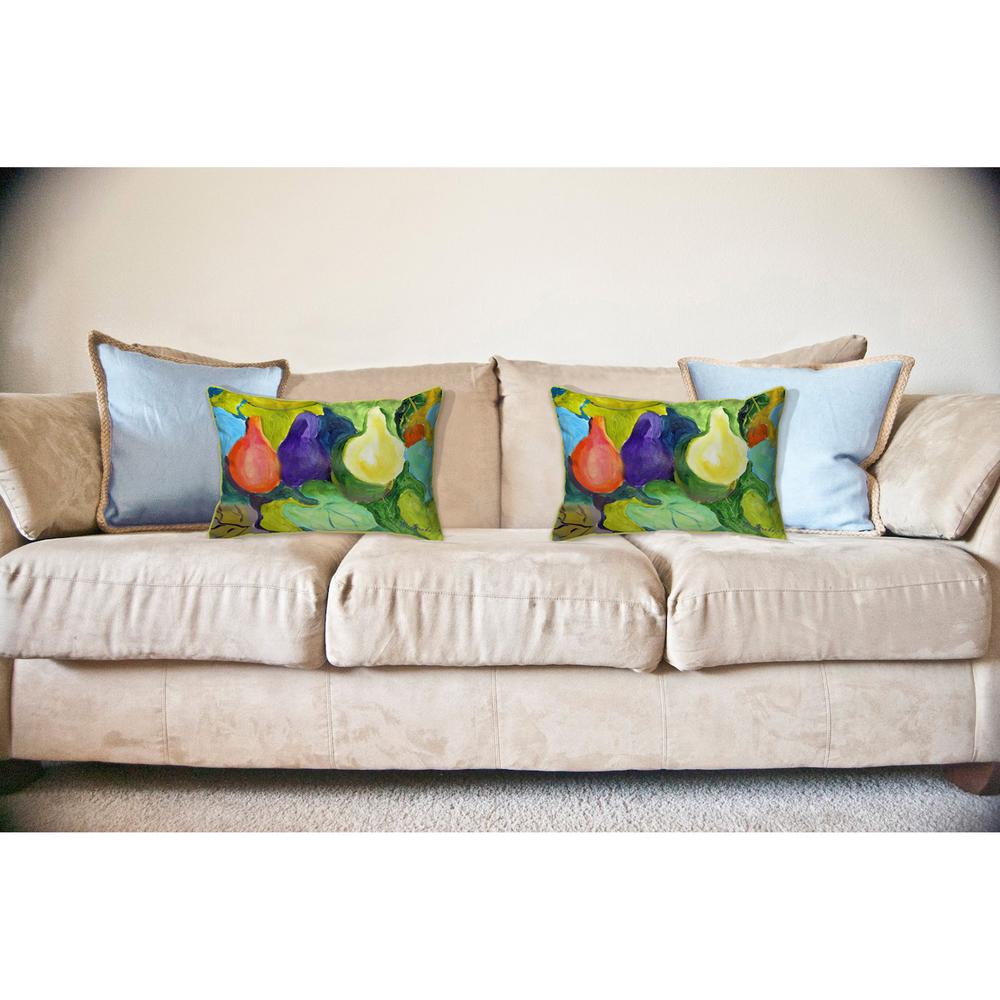 Gourds Large Indoor/Outdoor Pillow 16x20. Picture 3