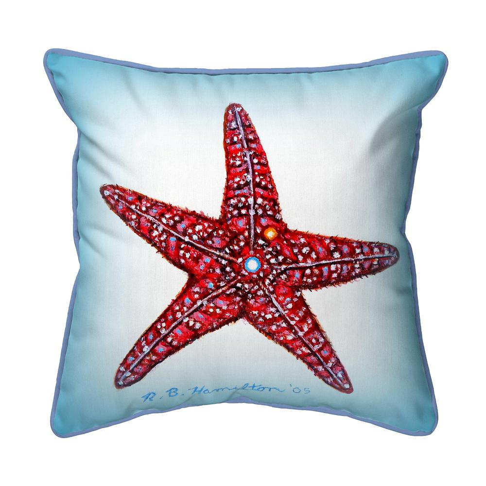 Dick's Starfish 18x18 Large Indoor/Outdoor Pillow. Picture 1