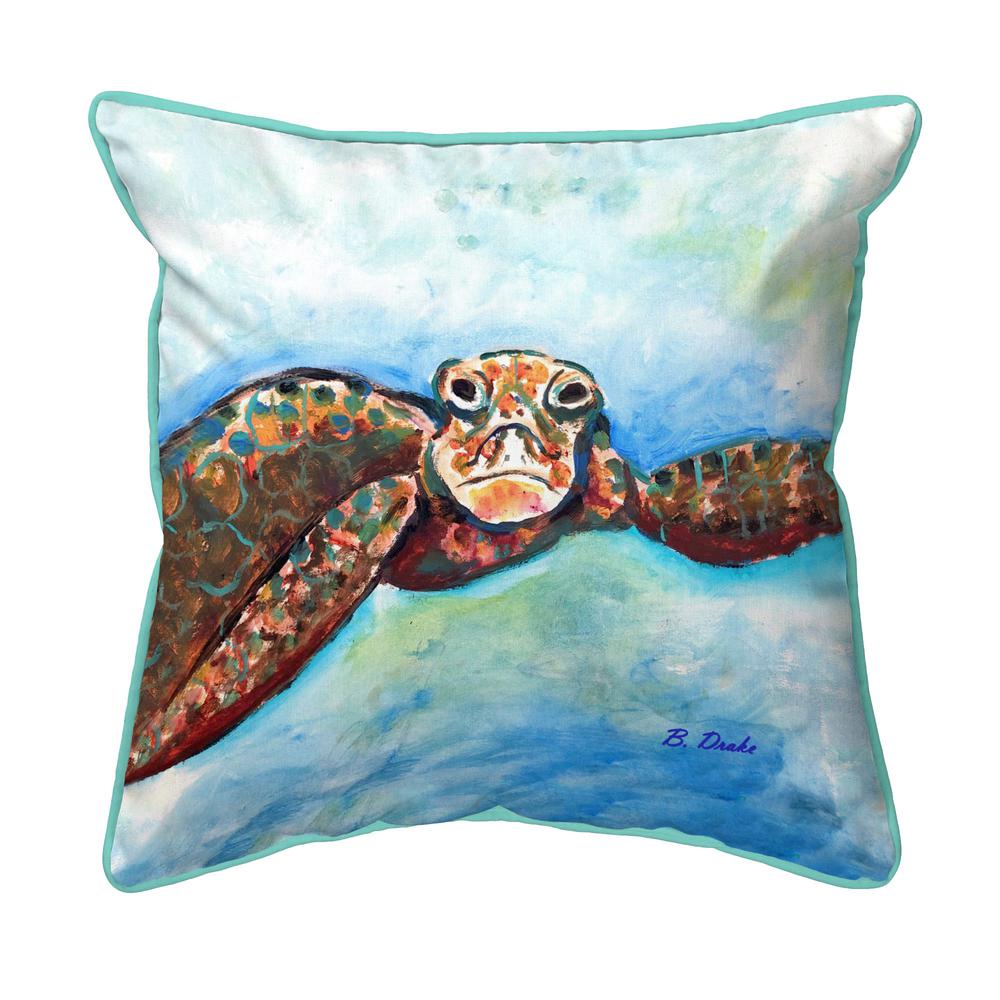 Turtle Looking At Me Large Indoor/Outdoor Pillow 18x18. Picture 1