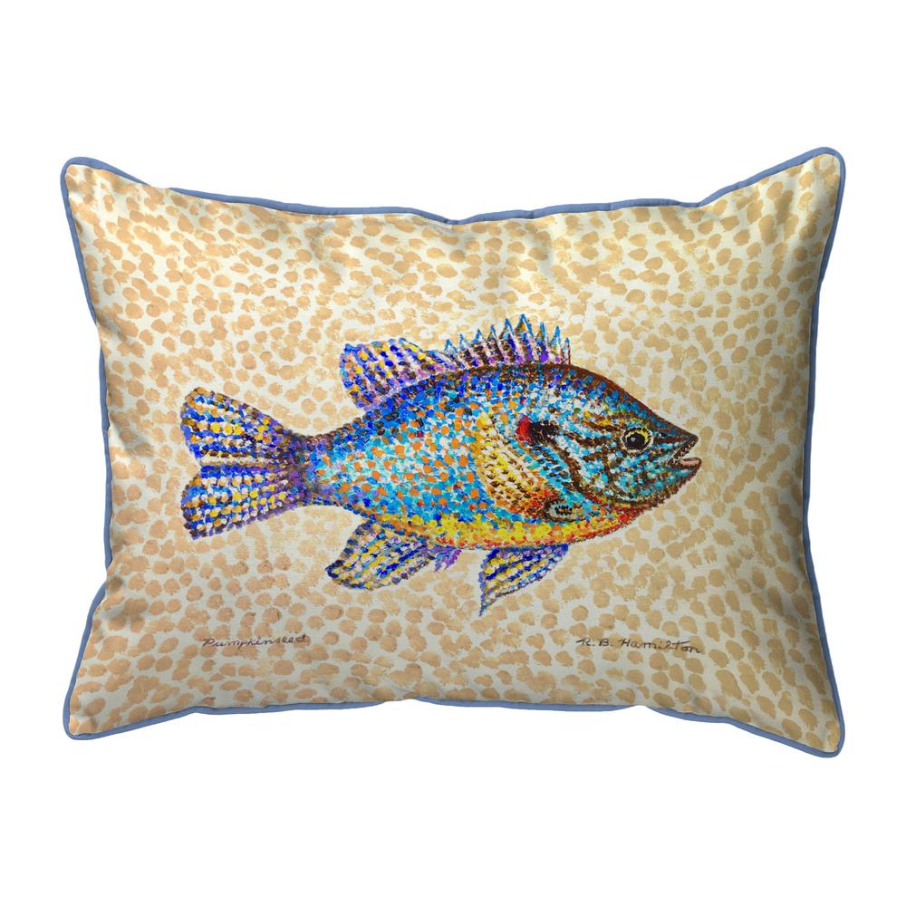 Pumpkinseed Fish Large Indoor/Outdoor Pillow 16x20. Picture 1