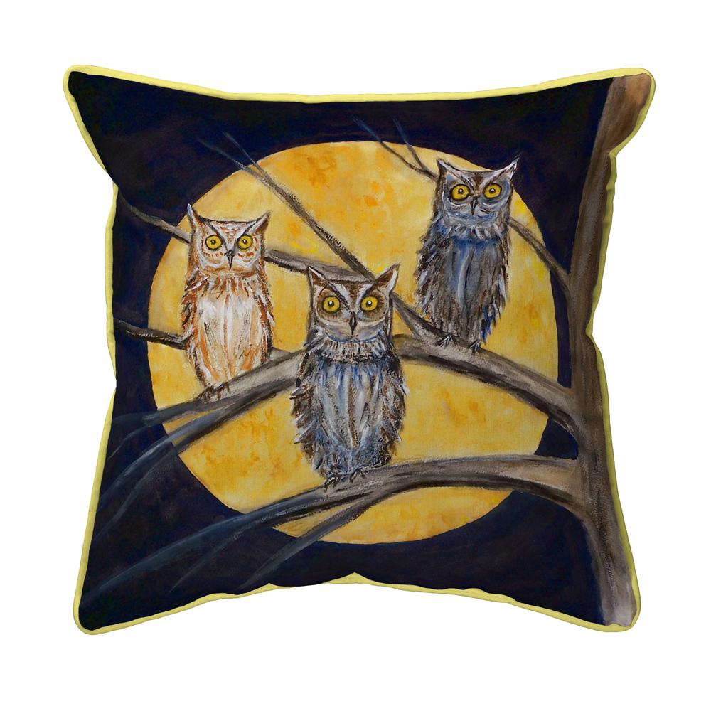 Night Owls Large Indoor/Outdoor Pillow 18x18. Picture 1