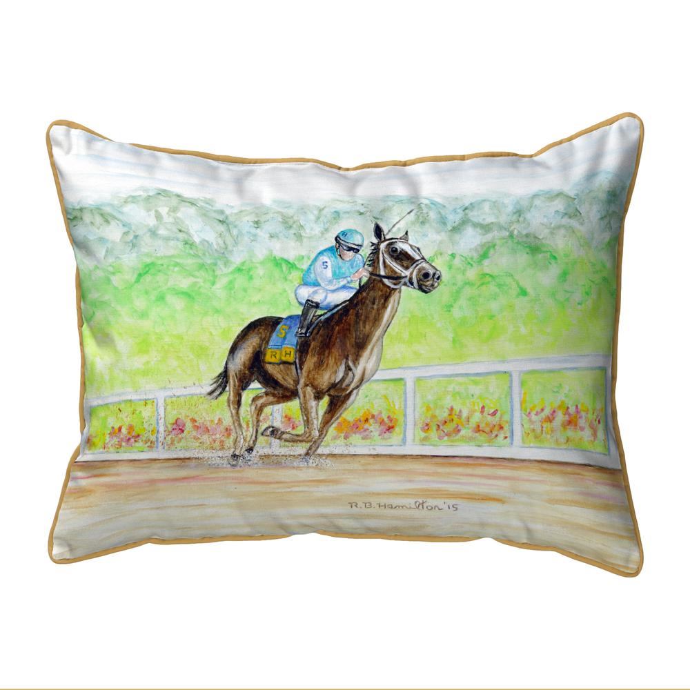 Home Stretch Large Indoor/Outdoor Pillow 16x20. Picture 1