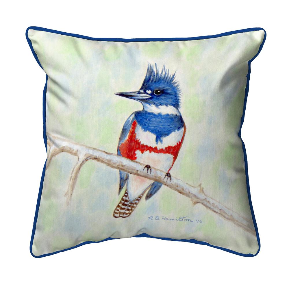 Kingfisher Large Indoor/Outdoor Pillow 18x18. Picture 1