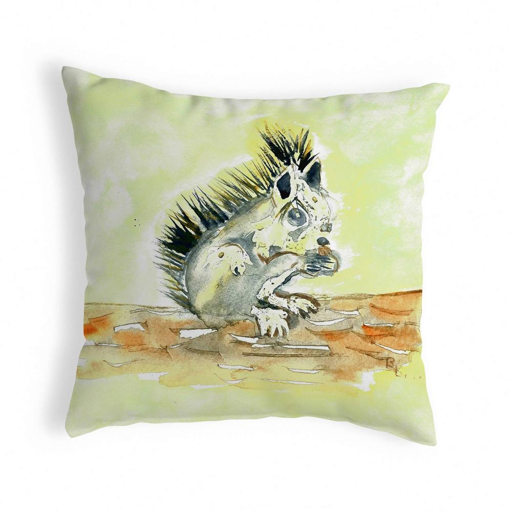 Baby Squirrel Noncorded Pillow 12x12. Picture 1