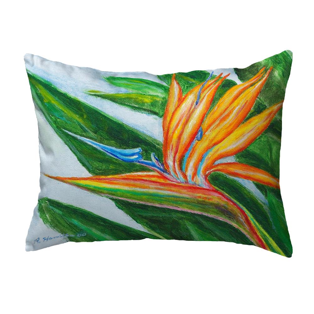 Bird of Paradise Small No-Cord Pillow 11x14. Picture 1