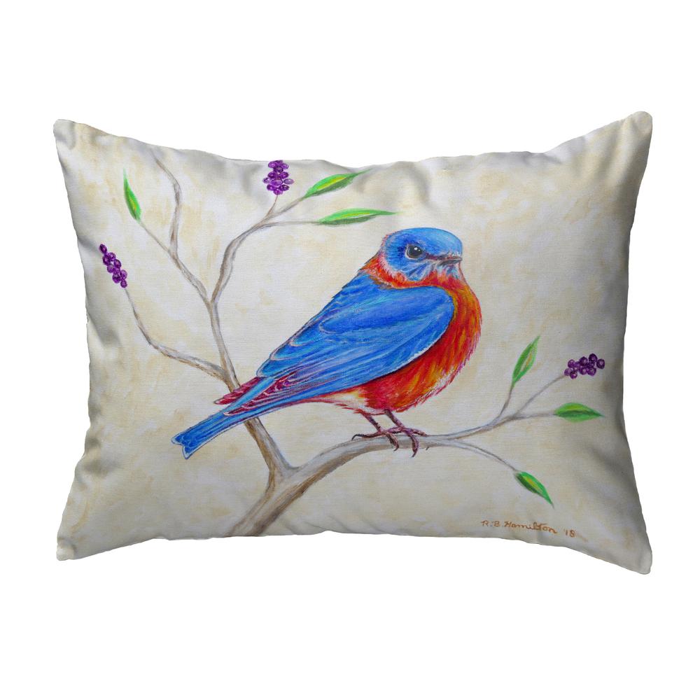 Dick's Blue Bird Noncorded Indoor/Outdoor Pillow 11x14. Picture 1