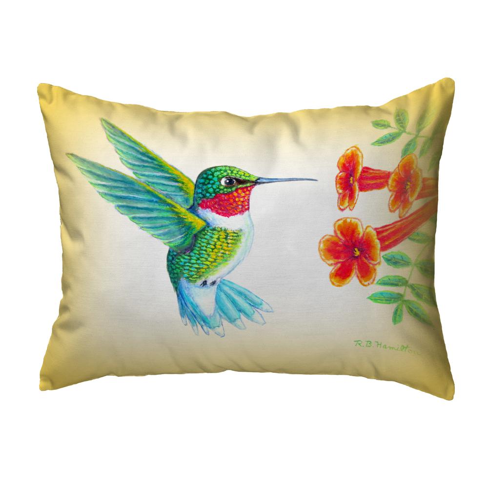 Dick's Hummingbird Noncorded Indoor/Outdoor Pillow 11x14. Picture 1