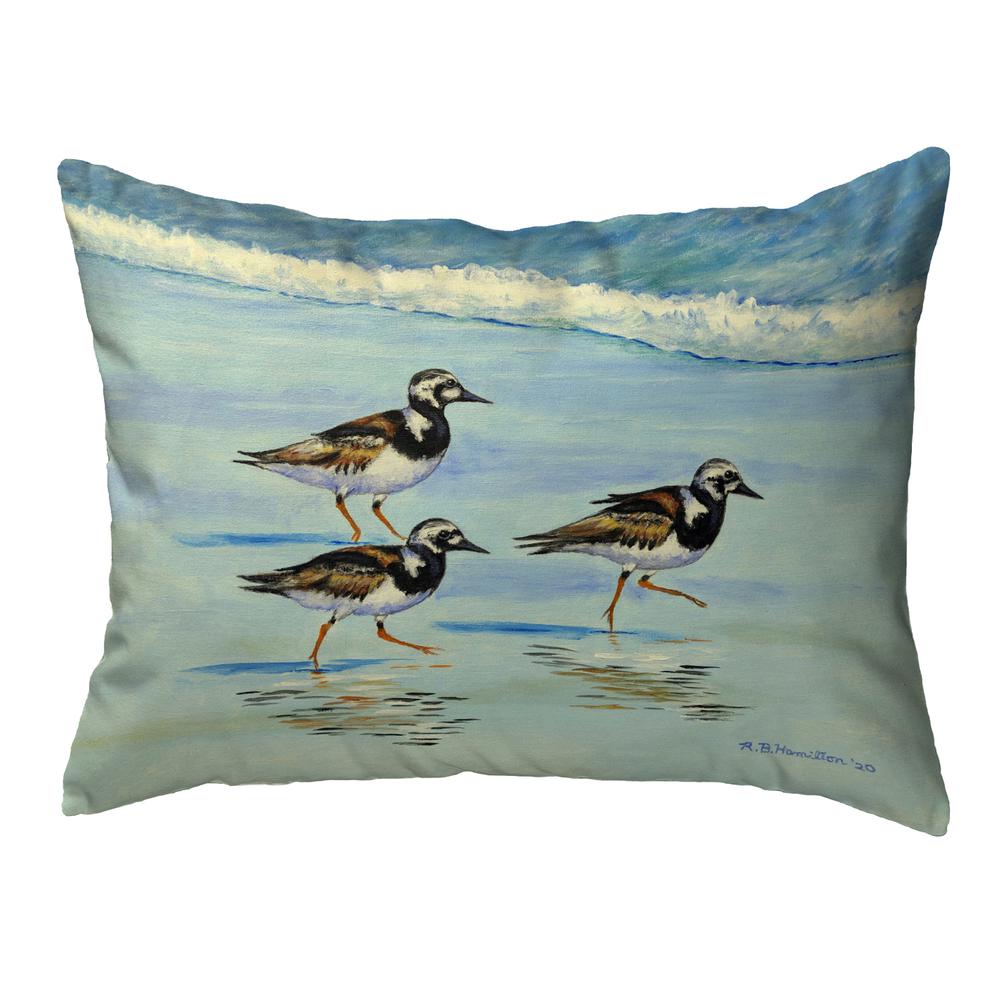 Ruddy Turnstones Small Noncorded Pillow 11x14. Picture 1