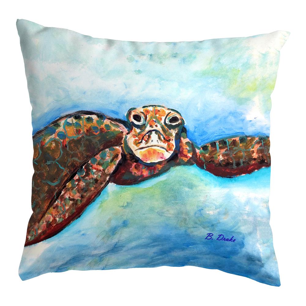 Turtle Looking At Me Small Noncorded Pillow 12x12. Picture 1