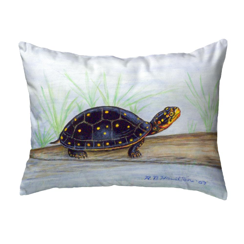 Spotted Turtle Small No-Cord Pillow 11x14. Picture 1
