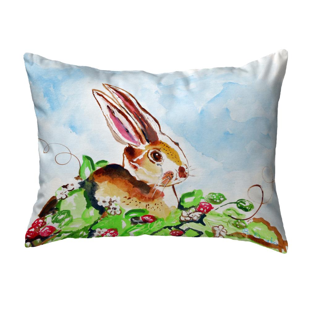 Jack Rabbit Right Small No-Cord Pillow 11x14. Picture 1