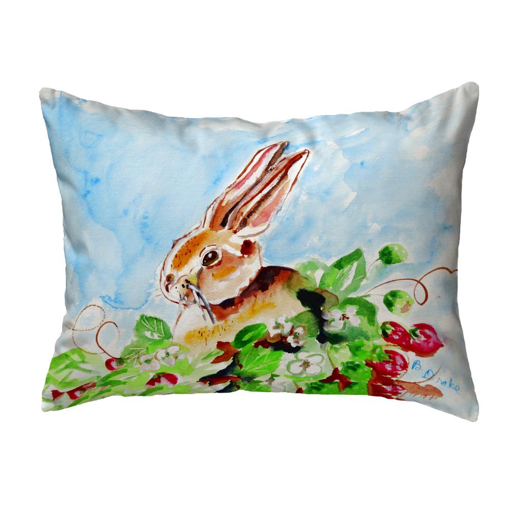 Jack Rabbit Left Small No-Cord Pillow 11x14. Picture 1