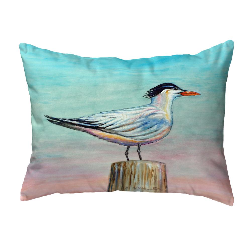 Royal Tern Small No-Cord Pillow 11x14. The main picture.