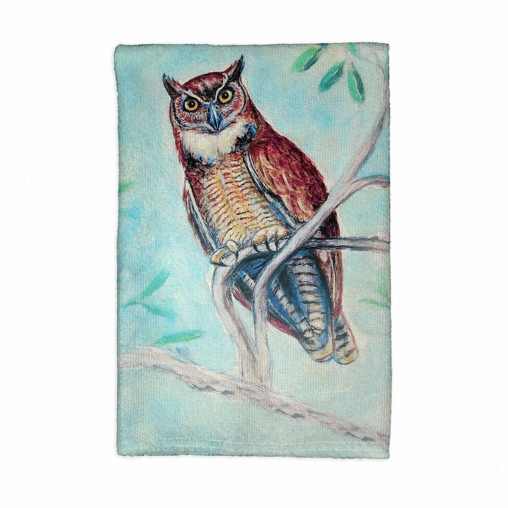 Owl in Teal Kitchen Towel. Picture 1