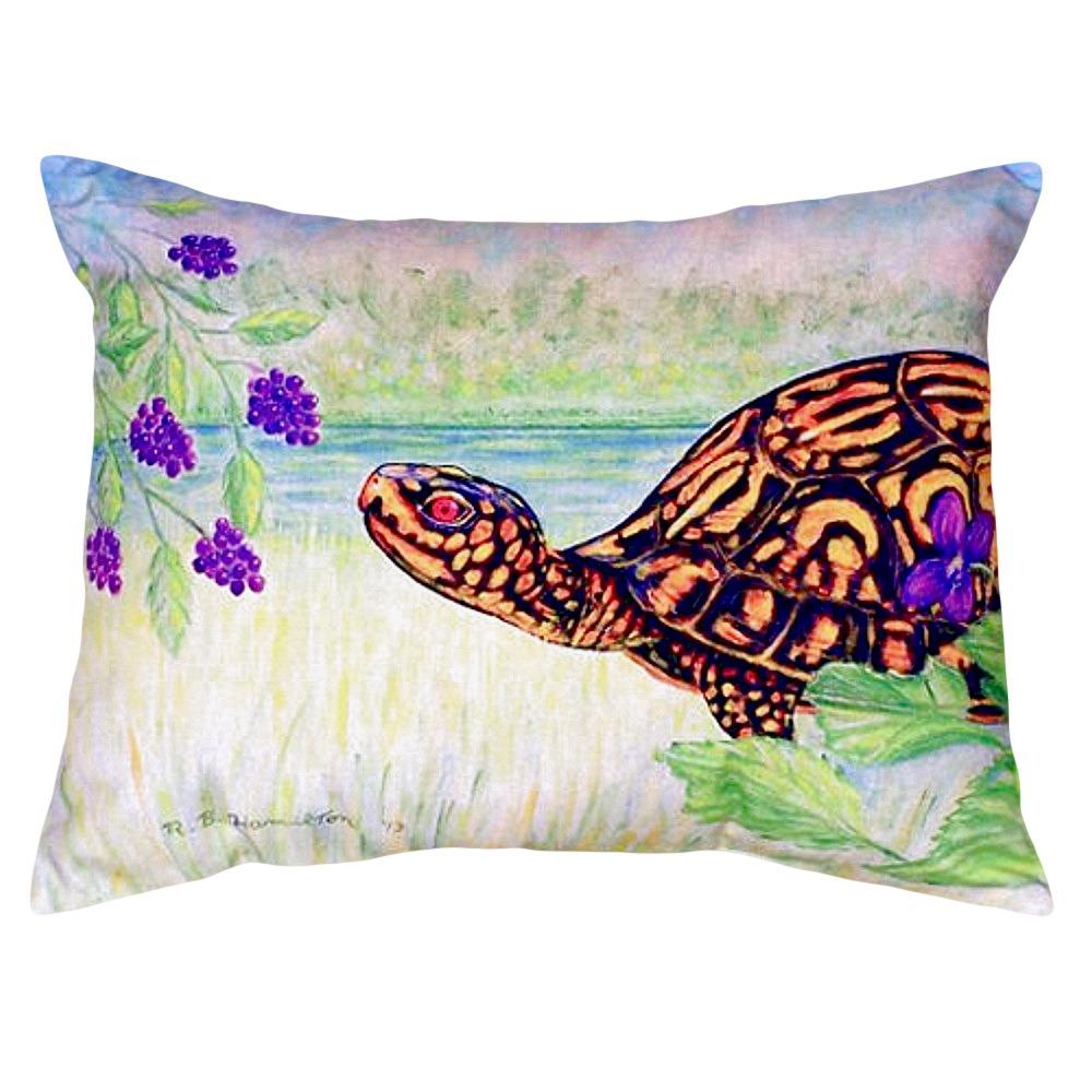 Turtle & Berries No Cord Pillow 16x20. Picture 1