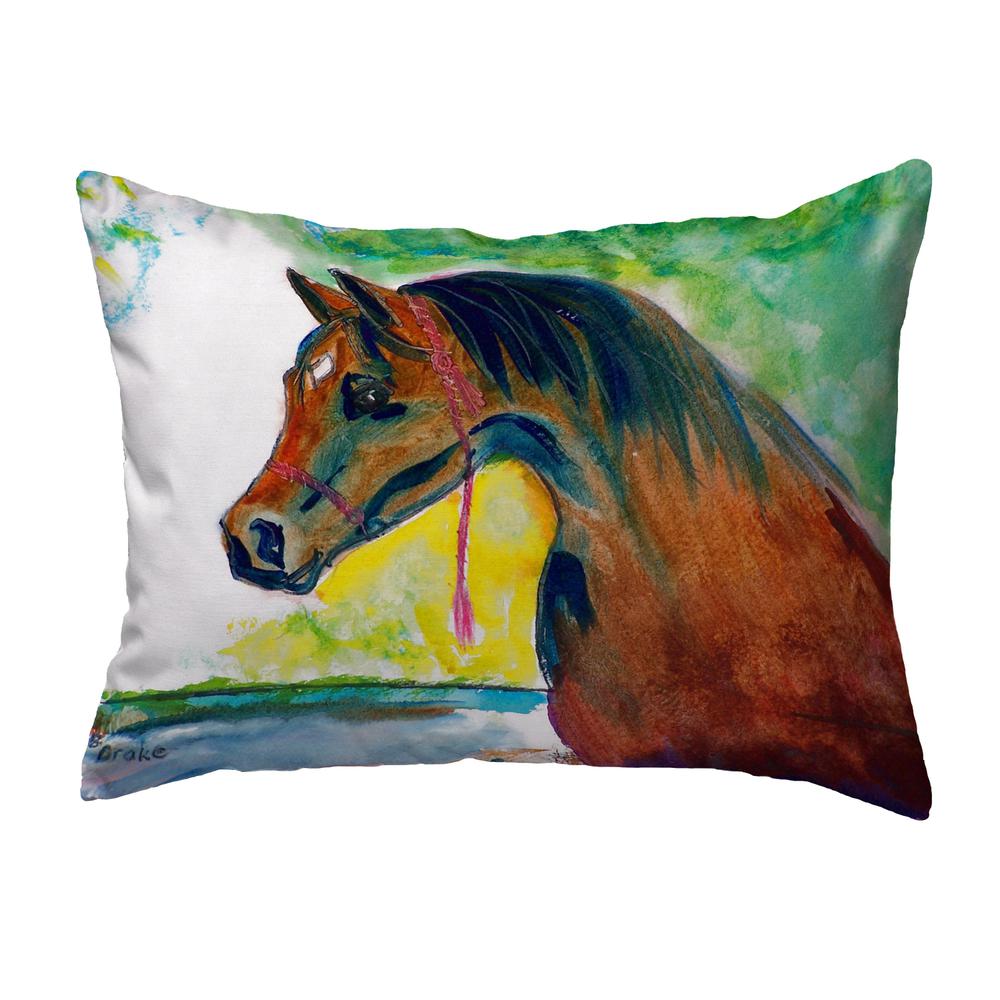 Prize Horse No Cord Pillow 16x20. Picture 1