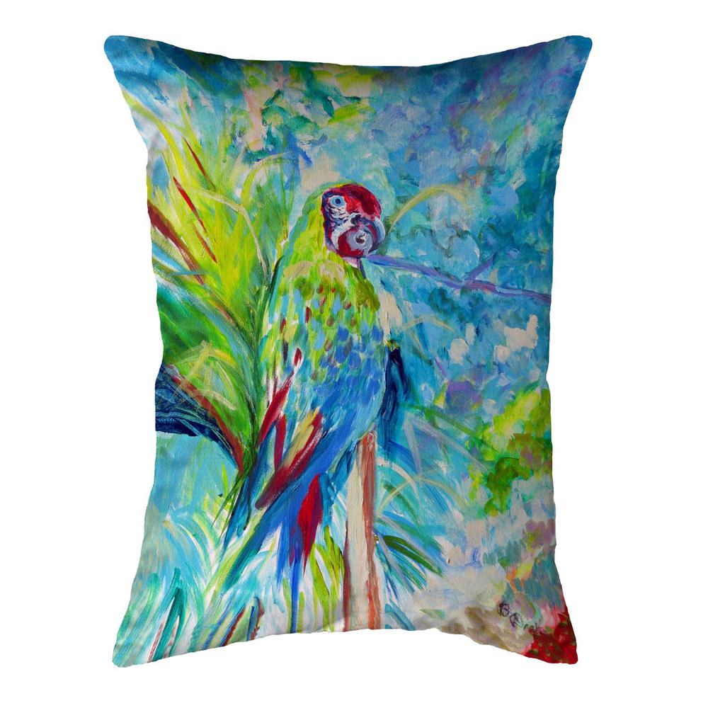 Green Parrot II No Cord Pillow 16x20. Picture 1