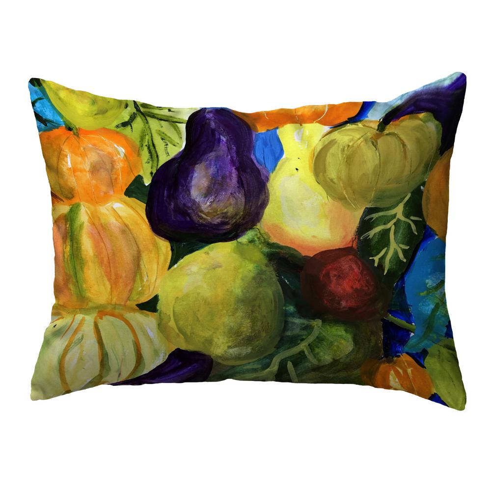 Gourds II 16x20 No Cord Pillow. Picture 1