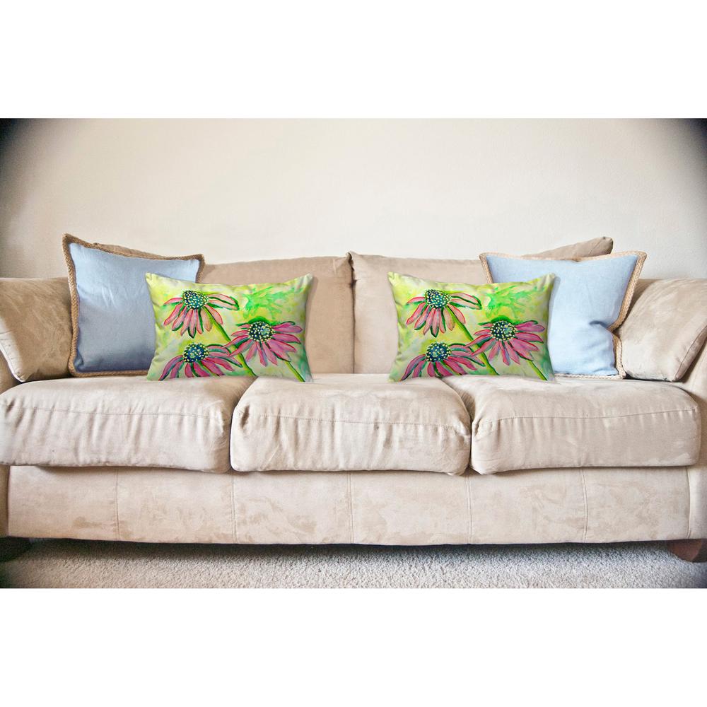Cone Flowers No Cord Pillow 16x20. Picture 2
