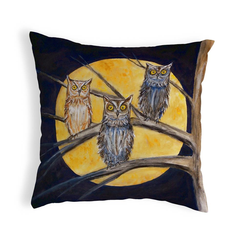 Night Owls No Cord Pillow 18x18. Picture 1