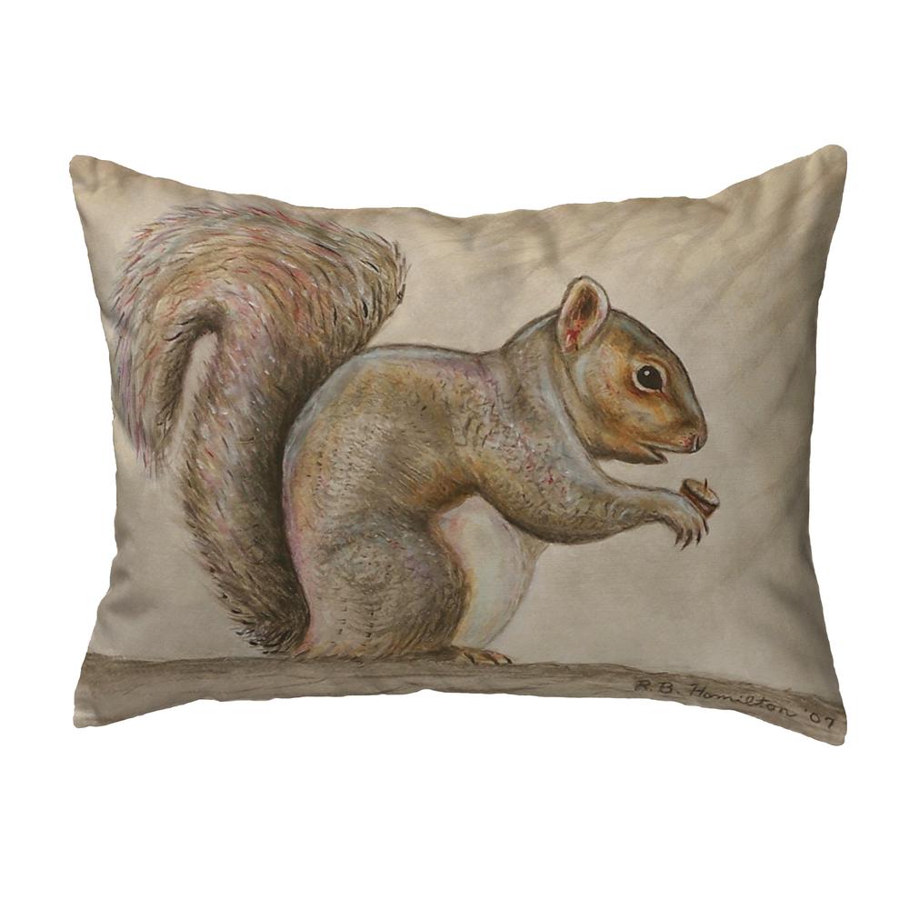 Squirrel No Cord Pillow 16x20. Picture 1