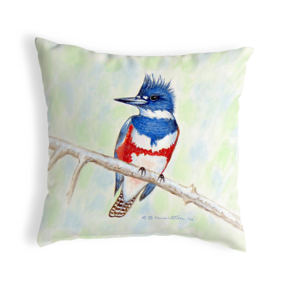 Kingfisher No Cord Pillow 18x18. Picture 1