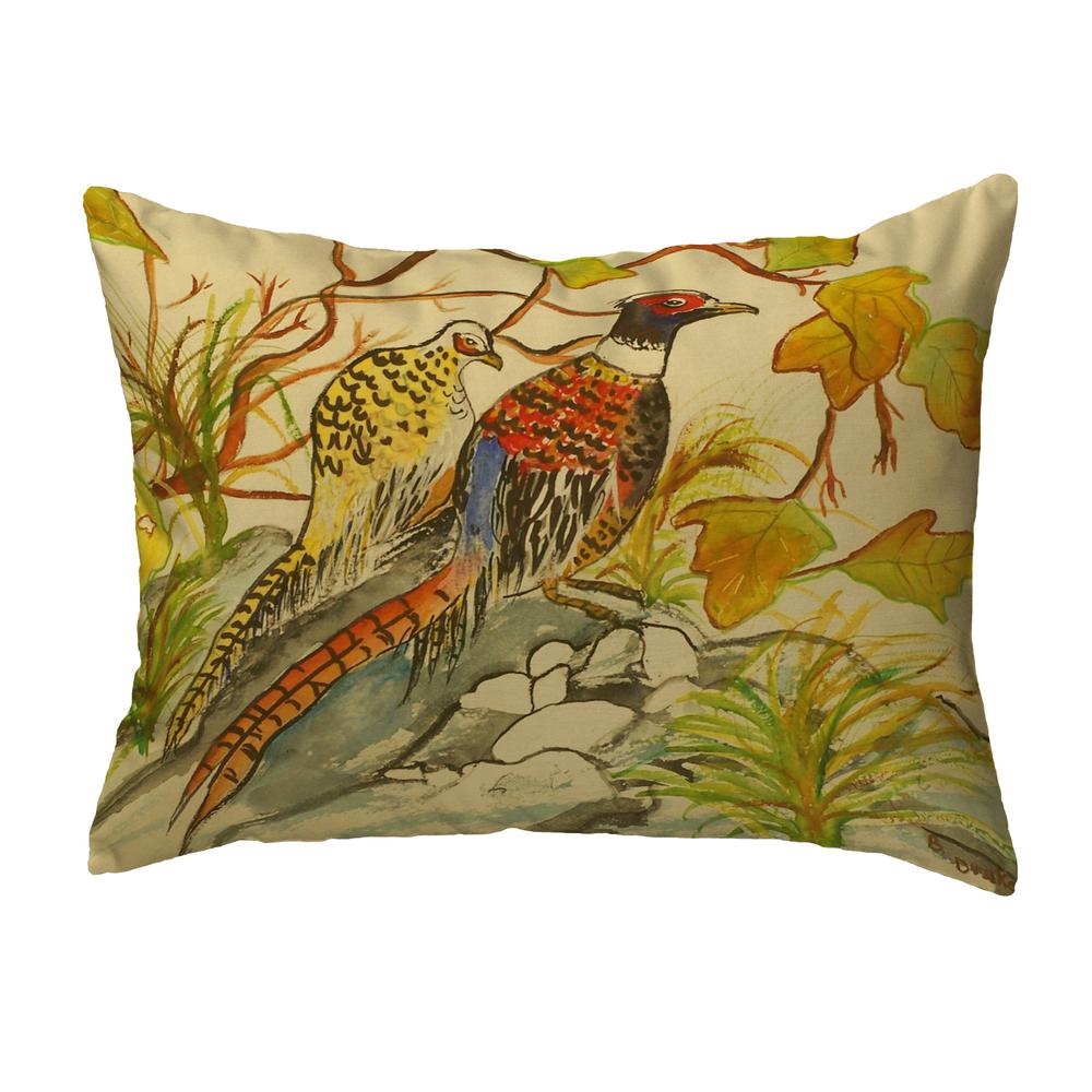 Pheasant Noncorded Pillow 16x20. Picture 1