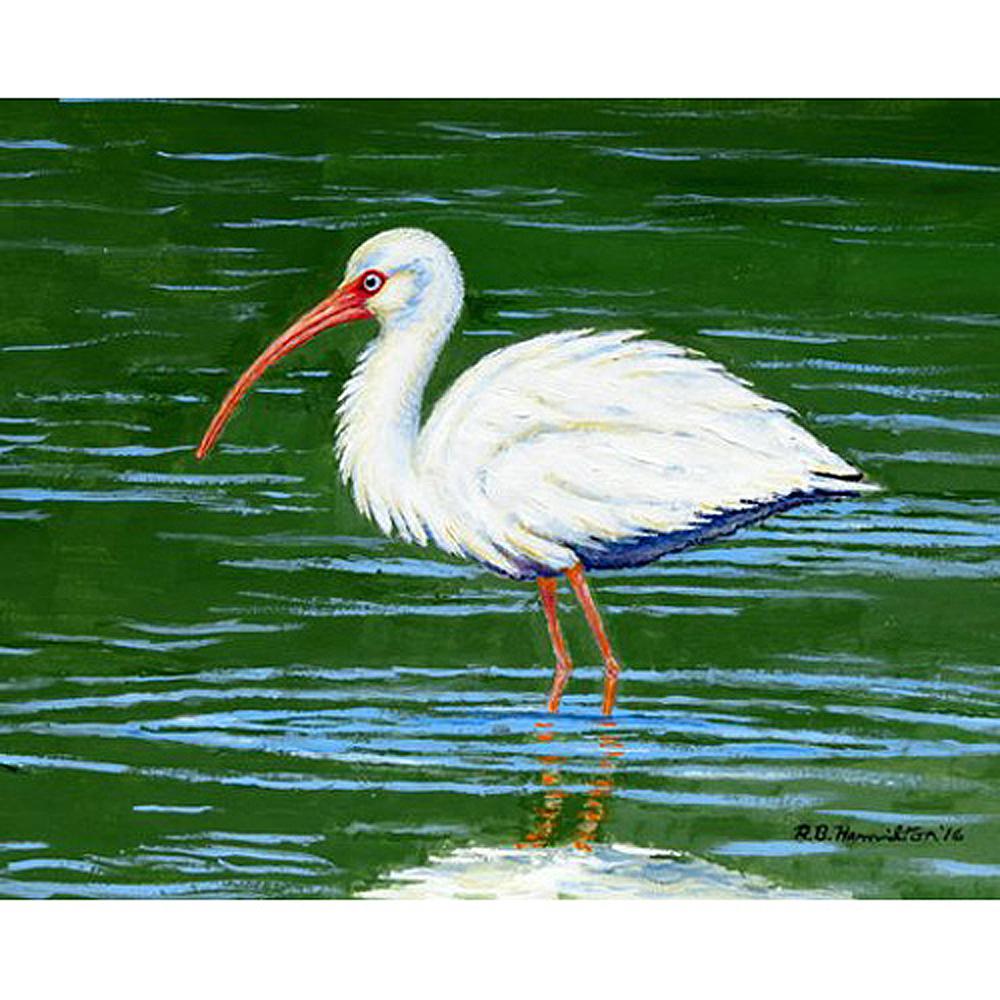 Dick's White Ibis Place Mat Set of 4. Picture 1