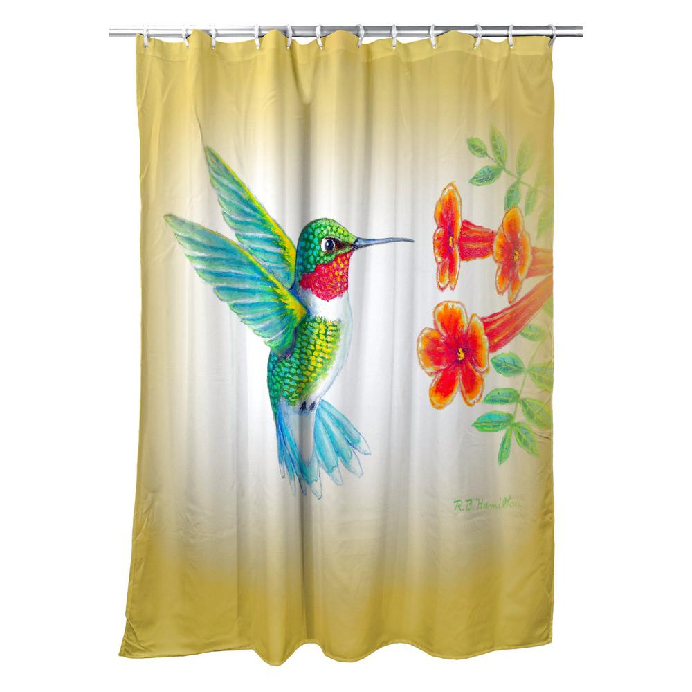 Dick's Hummingbird Shower Curtain. Picture 1
