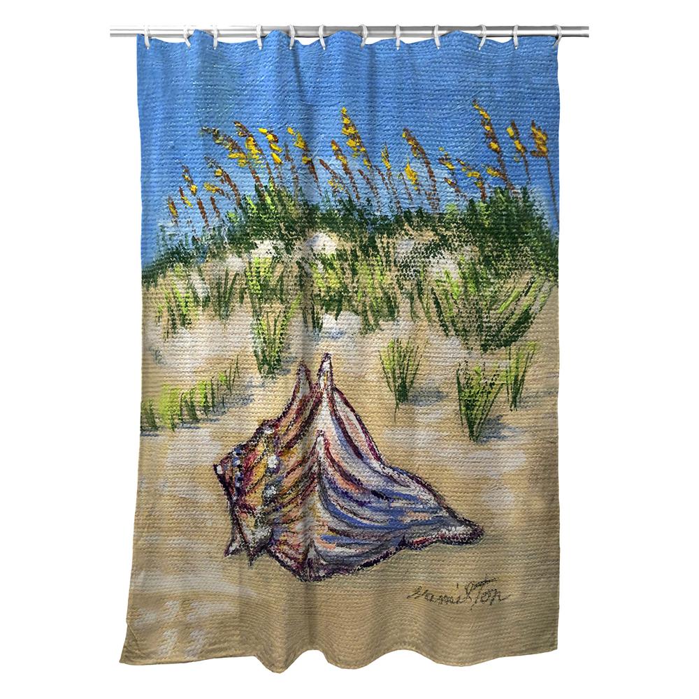 Conch Found Shower Curtain. Picture 1