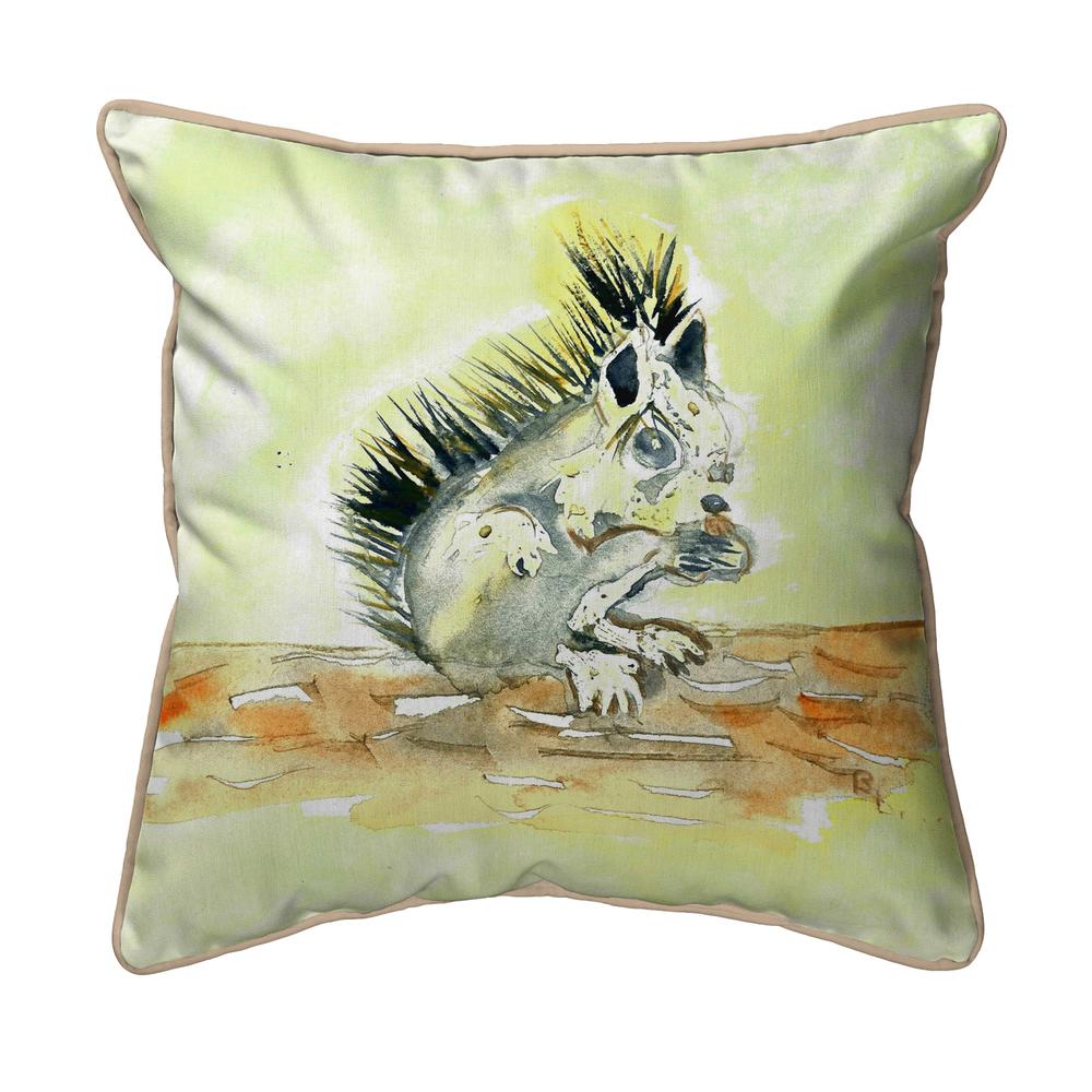Baby Squirrel Small Pillow 12x12. Picture 1
