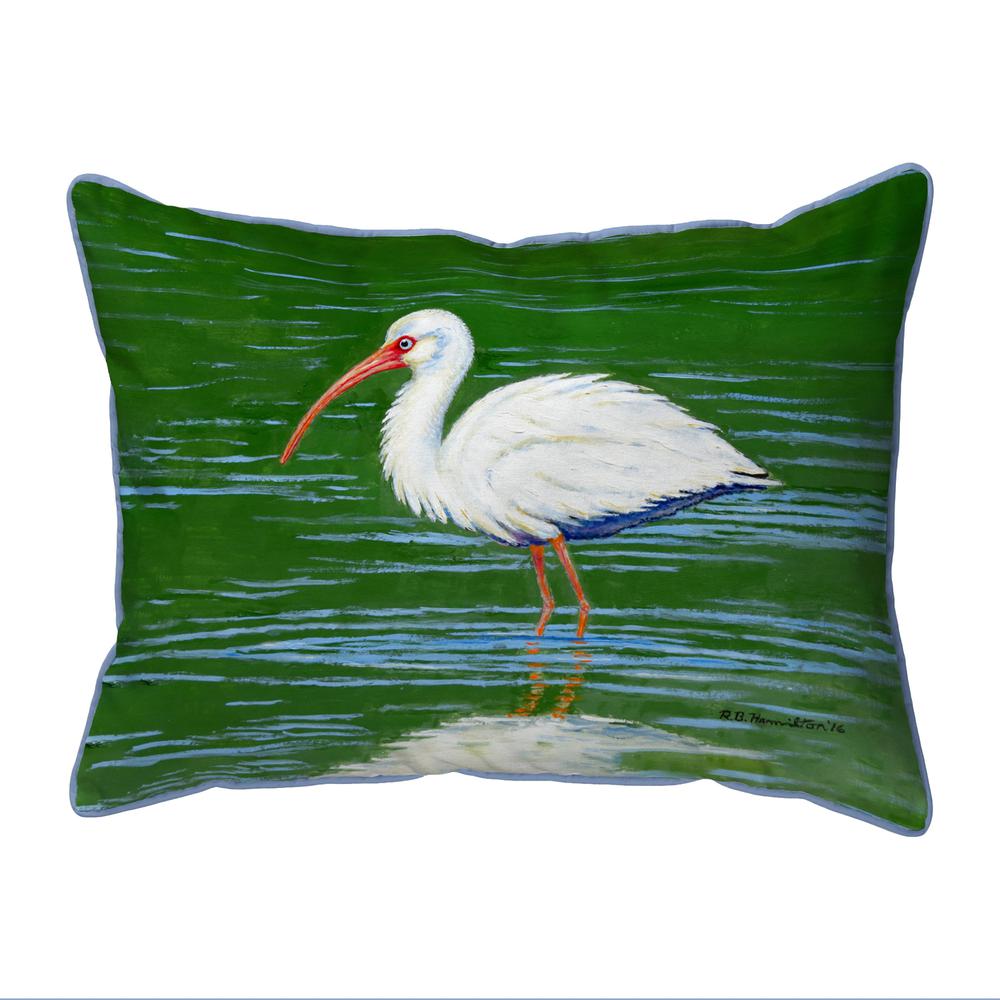 Dick's White Ibis Small Indoor/Outdoor Pillow 11x14. Picture 1