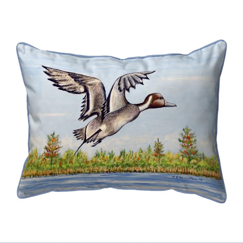 Pintail Duck Small Indoor/Outdoor Pillow 11x14. Picture 1