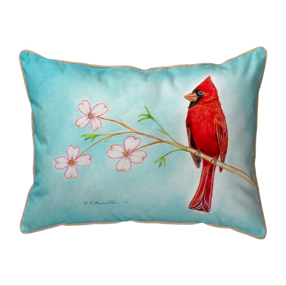 Dick's Cardinal Small Indoor/Outdoor Pillow 11x14. Picture 1